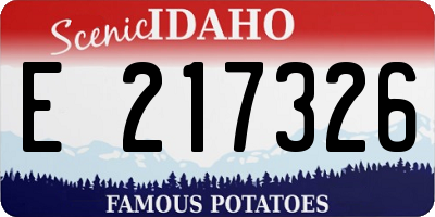 ID license plate E217326
