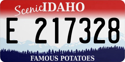 ID license plate E217328