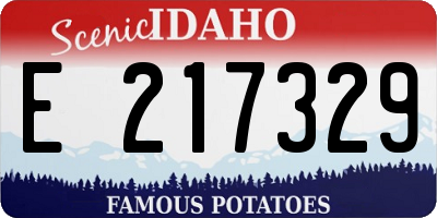 ID license plate E217329