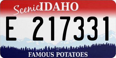 ID license plate E217331