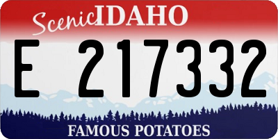 ID license plate E217332