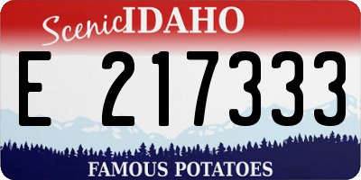 ID license plate E217333