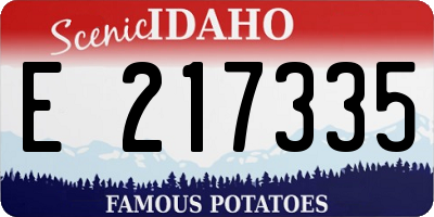 ID license plate E217335