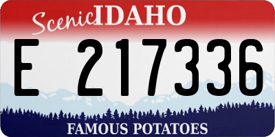ID license plate E217336