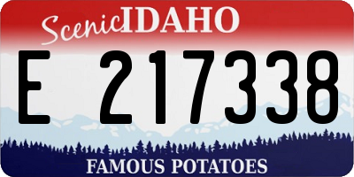 ID license plate E217338