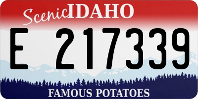 ID license plate E217339