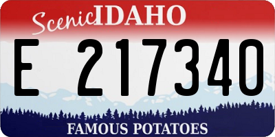 ID license plate E217340