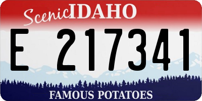 ID license plate E217341