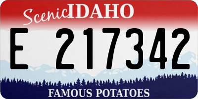 ID license plate E217342