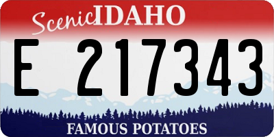 ID license plate E217343