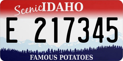 ID license plate E217345