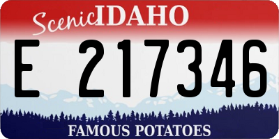 ID license plate E217346
