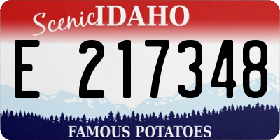ID license plate E217348