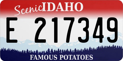 ID license plate E217349