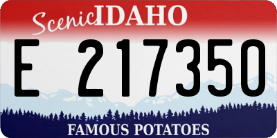 ID license plate E217350