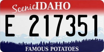 ID license plate E217351
