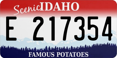 ID license plate E217354