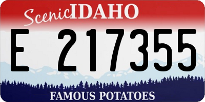 ID license plate E217355