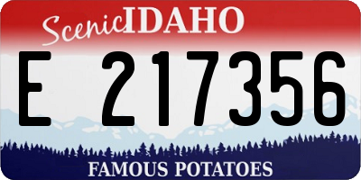 ID license plate E217356