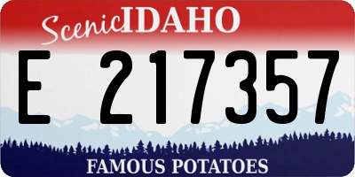 ID license plate E217357