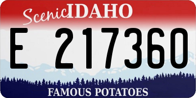 ID license plate E217360