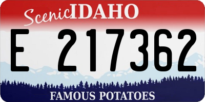 ID license plate E217362