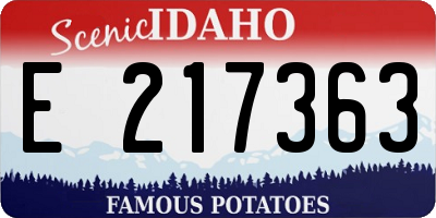 ID license plate E217363