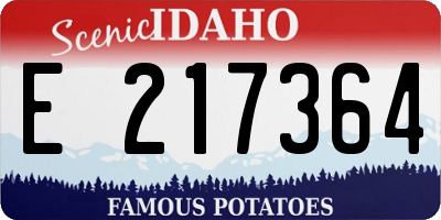 ID license plate E217364