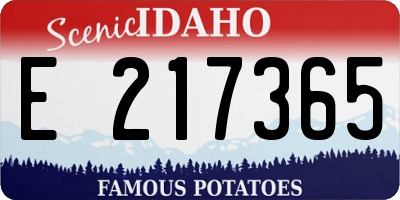 ID license plate E217365