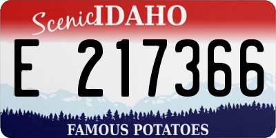 ID license plate E217366