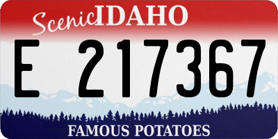 ID license plate E217367