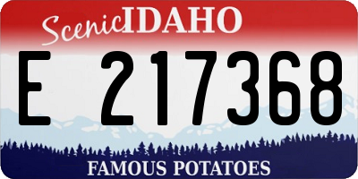 ID license plate E217368