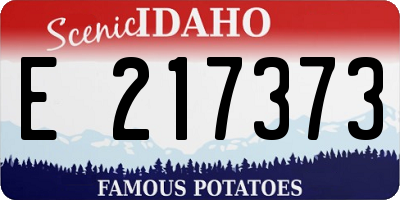 ID license plate E217373