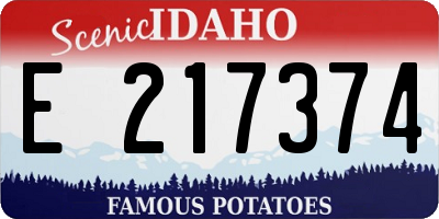 ID license plate E217374