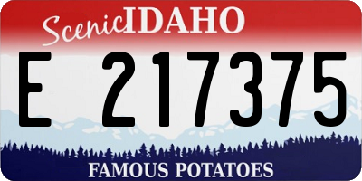 ID license plate E217375