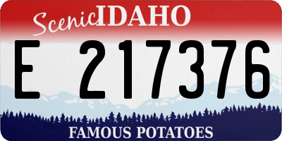 ID license plate E217376