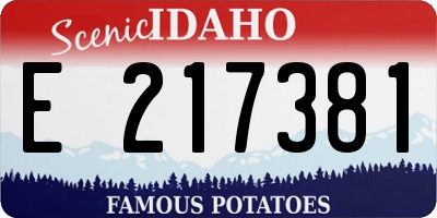 ID license plate E217381