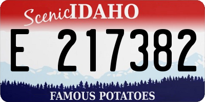 ID license plate E217382