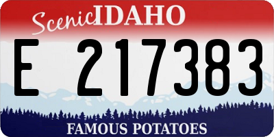 ID license plate E217383