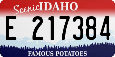 ID license plate E217384