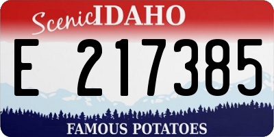 ID license plate E217385