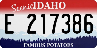 ID license plate E217386