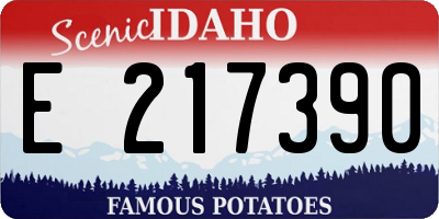 ID license plate E217390