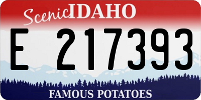 ID license plate E217393