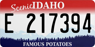 ID license plate E217394