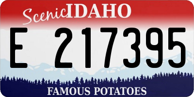 ID license plate E217395