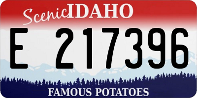ID license plate E217396