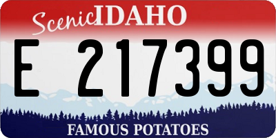 ID license plate E217399