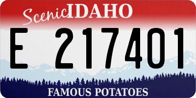 ID license plate E217401