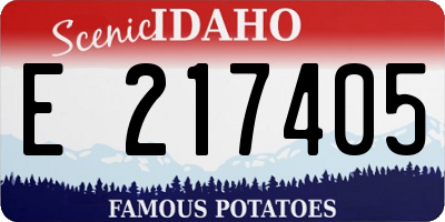 ID license plate E217405